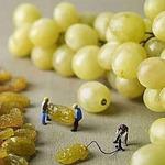 Pizzeria Trattoria Venezia